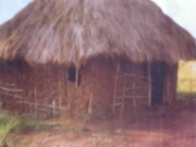 gmpre-primary